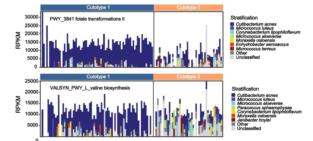 Open access visualization of Stacked Bar Plot, Core pathways, Folate transformation II, L-valine biosynthesis, Contributional diversity