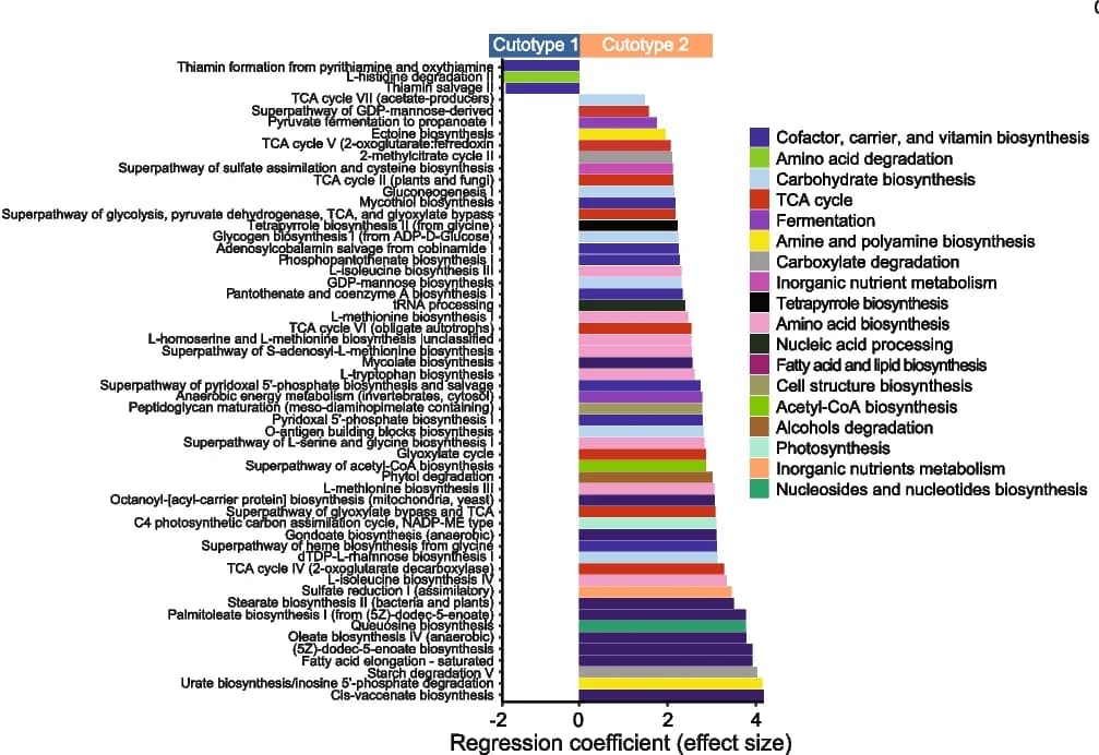 Open access visualization of Bar Plot, UniRef90 pathways, Cutotypes, MaAslin2, Enrichment