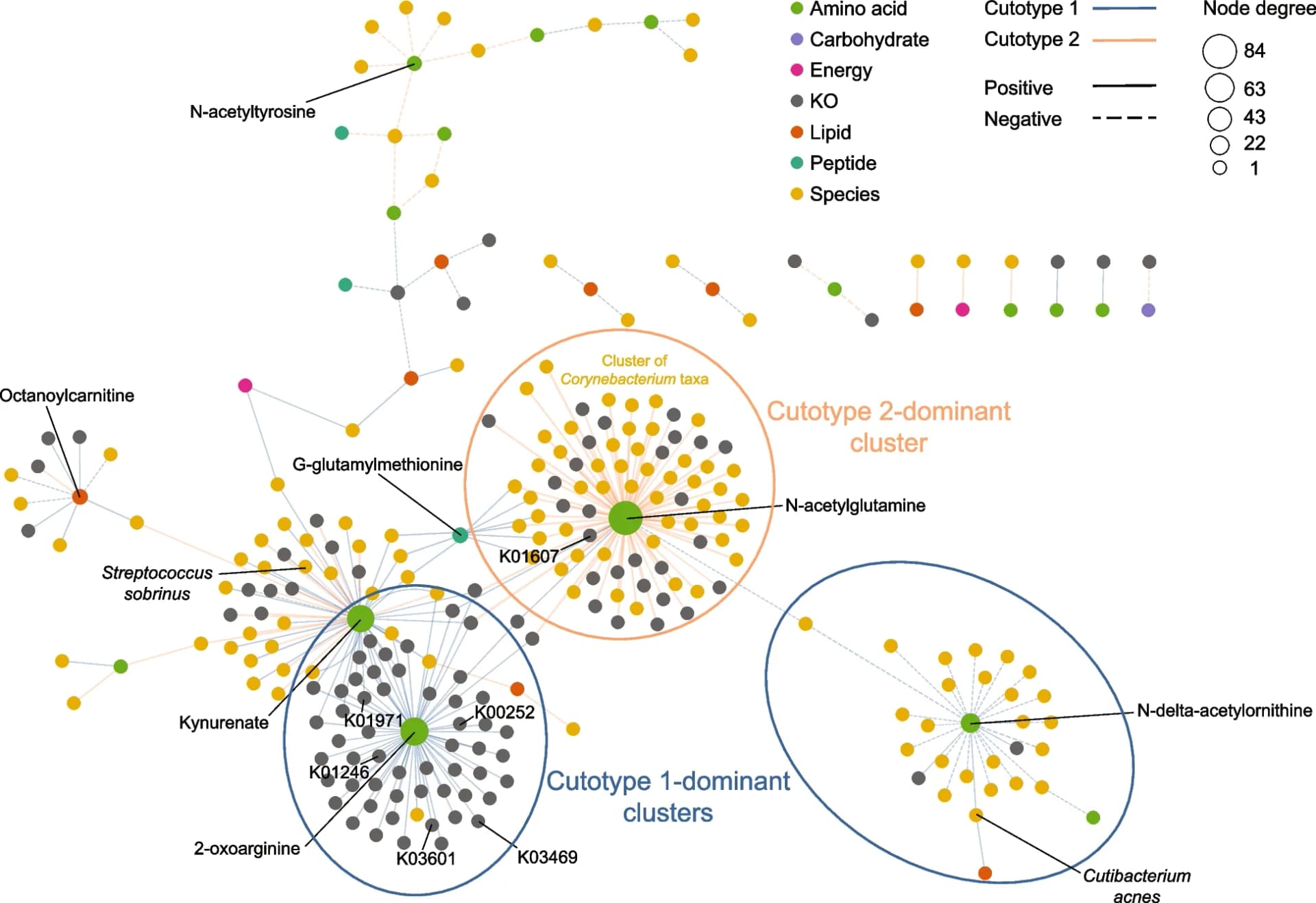 Open access visualization of Network, Pathway, Compositional Features, Functional Features, Metabolomic Features