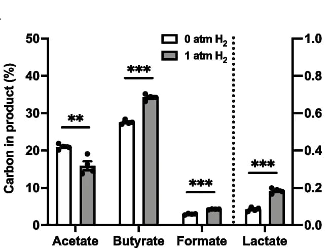 Open access visualization of Bar Plot, Clustered, Error Bars, R. intestinalis, Fermentation products