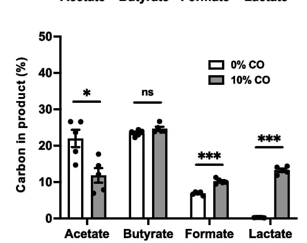 Open access visualization of Bar Plot, Error Bars, Clustered, E. rectale