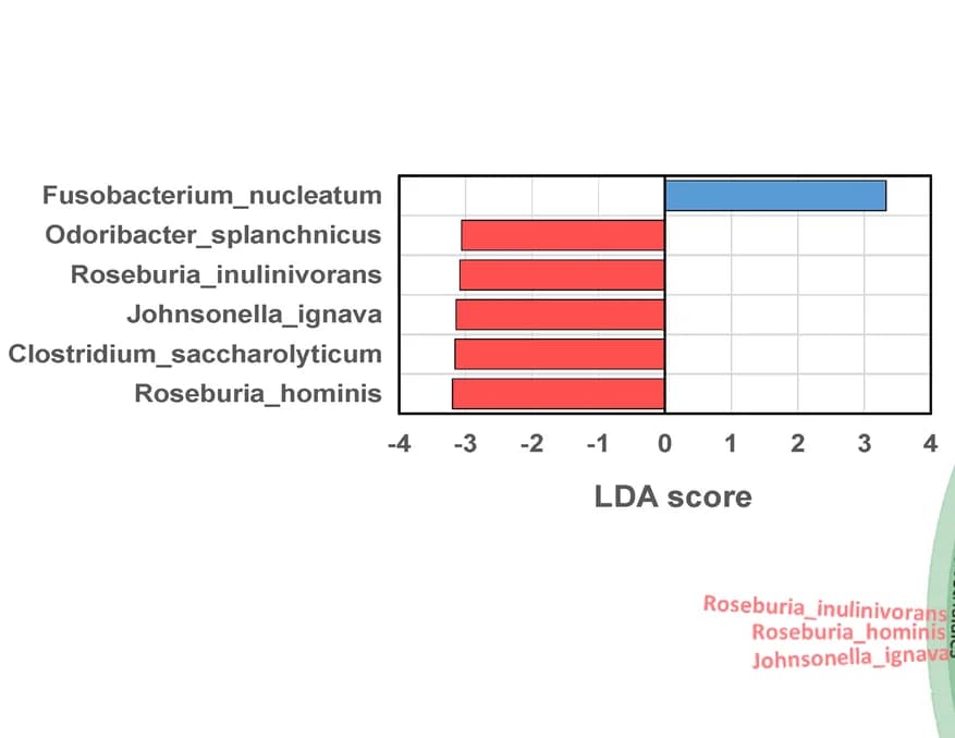 Open access visualization of Bar Plot, Taxonomic linear discriminative analysis, LDA, LefSe, Carotid artery plaque