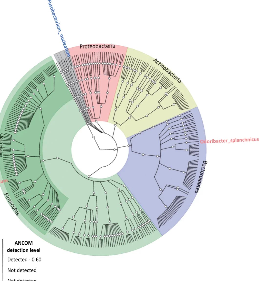 Open access visualization of Network, Pathway, Chord, Phylogenetic tree, Bacteria