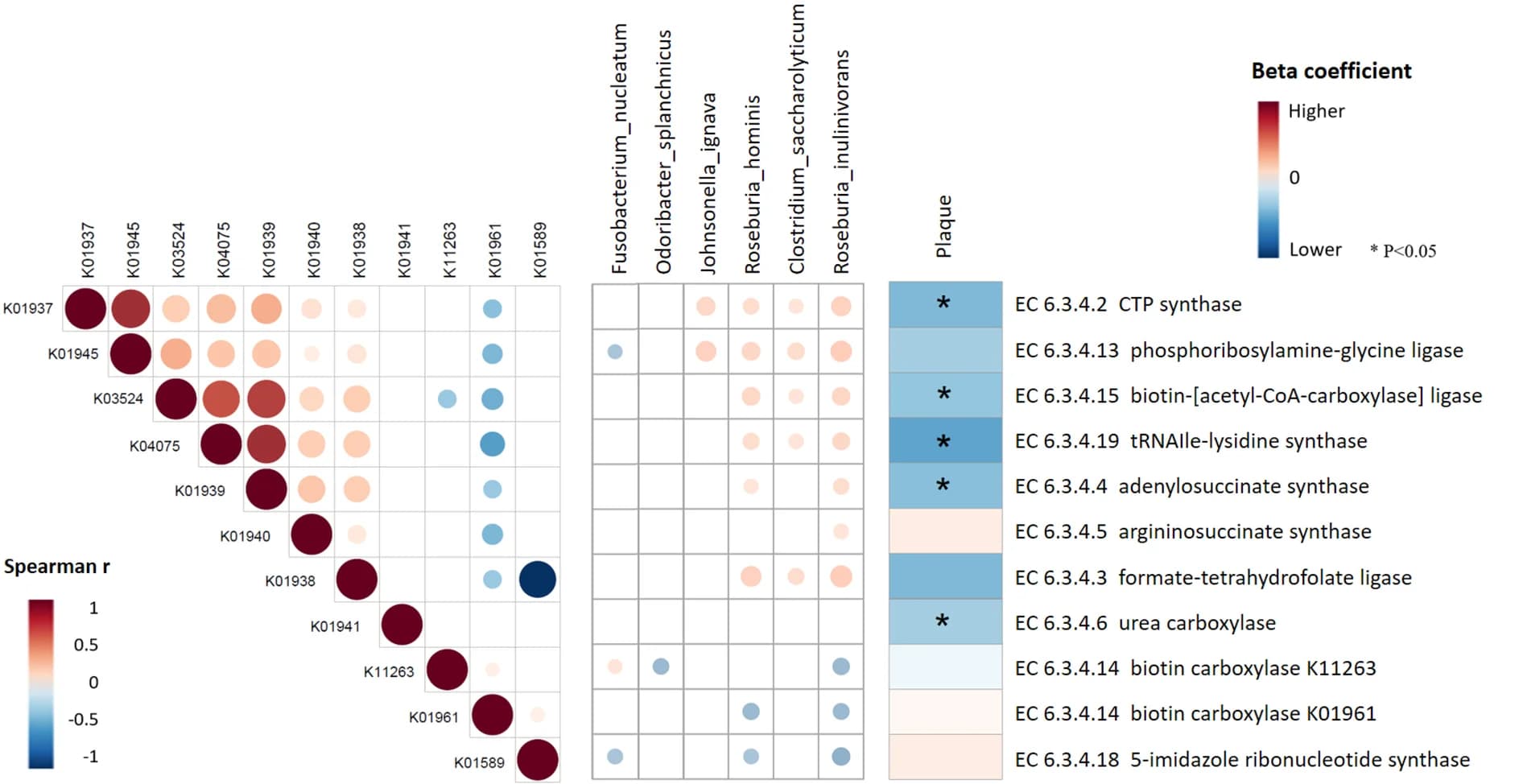 Open access visualization of Scatter Plot, Heatmap, Gut microbiota, Functional enzymes, Carotid artery plaque