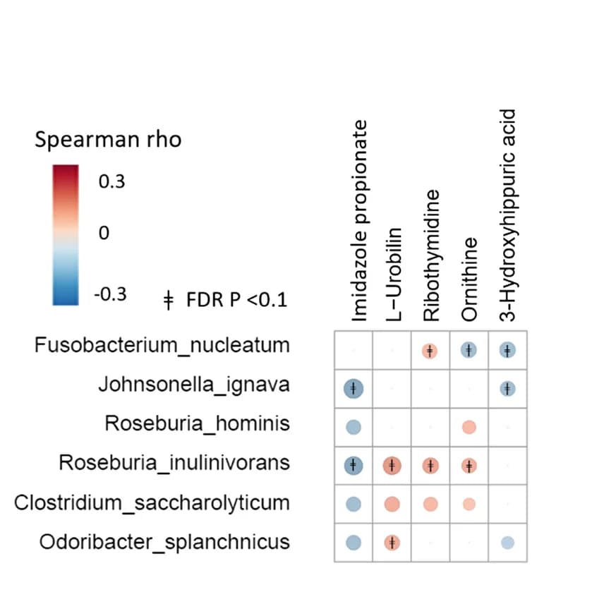 Open access visualization of Heatmap, Microbial Species, Polar Metabolites, Carotid Artery Plaque