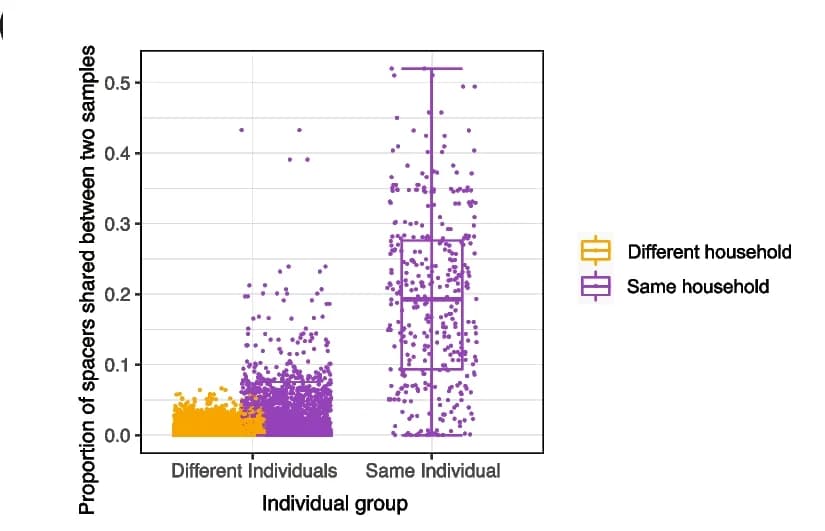 Open access visualization of Scatter Plot, Box Plot, Boxplot, Spacers, Samples