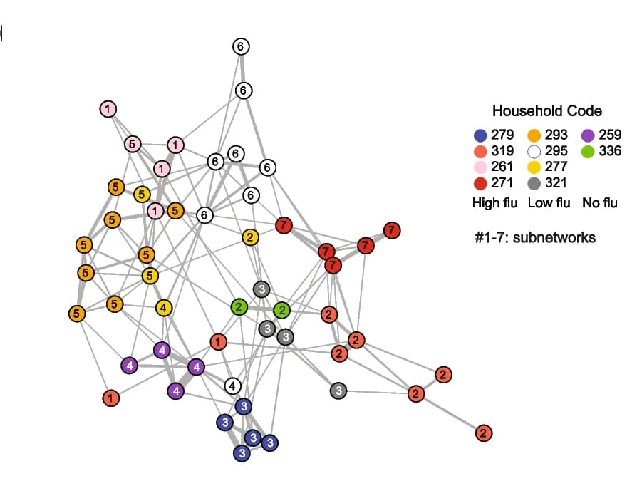 Open access visualization of Network, Connection Network, Spacers, Individuals, Nodes