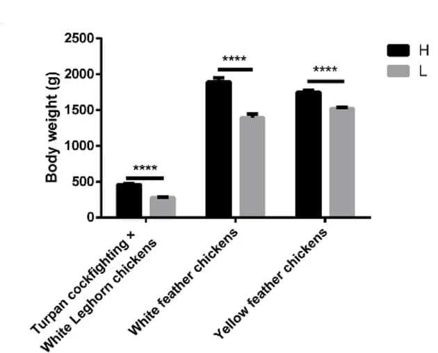 Open access visualization of Bar Plot, Error Bars, Clustered, Body Weight, Leg Muscle Weight