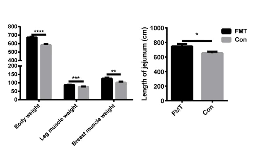 Open access visualization of Bar Plot, Error Bars, Clustered, Body Weight, Leg Muscle Weight