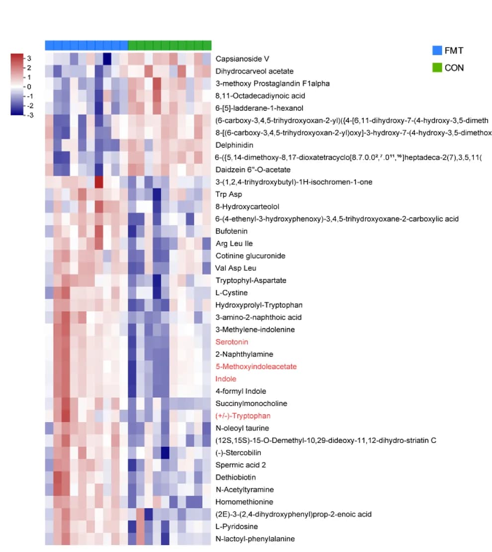 Open access visualization of Heatmap, Heat Map, Metabolites, Fecal Microbiota Transplantation, Control Groups