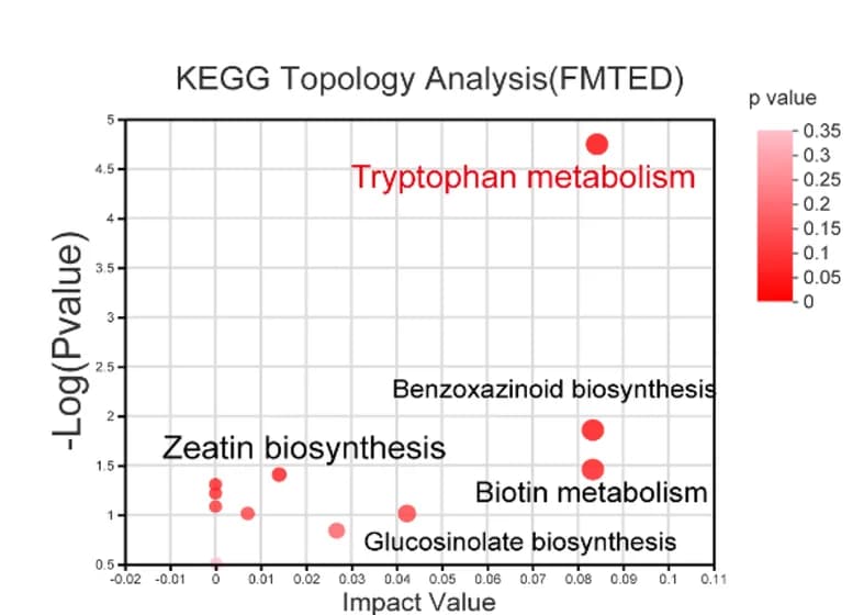 Open access visualization of Scatter Plot, Bubble Plot, Volcano Plot, Metabolite Pathway Enrichment Analysis, Fecal Microbiota Transplantation