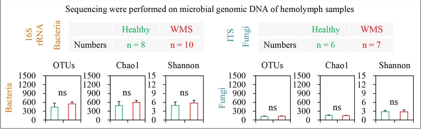 Open access visualization of Bar Plot, Error Bars, Alpha-diversity, Bacterial community, Fungal community