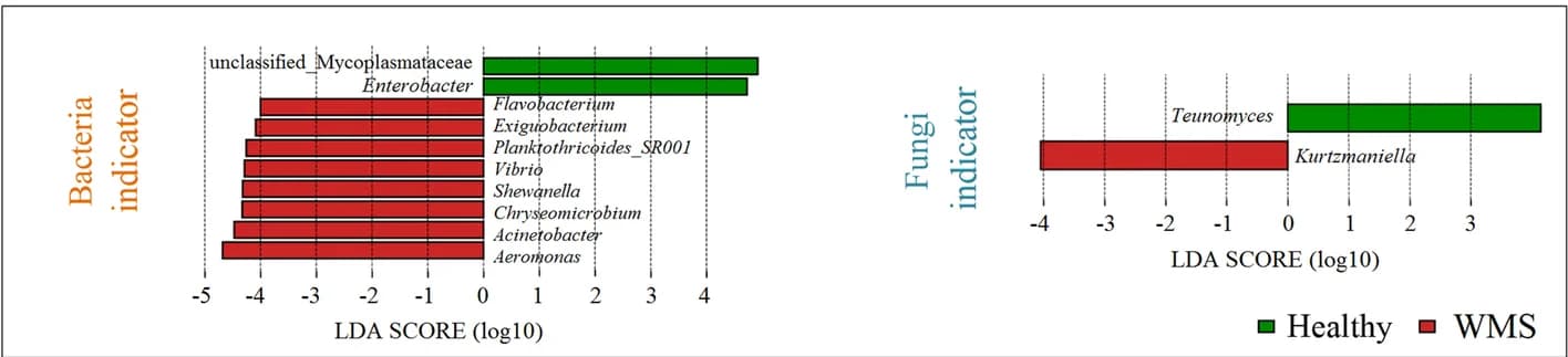Open access visualization of Bar Plot, LEfSe, Bacterial indicator genera, Fungal indicator genera, WMS