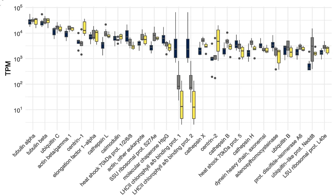 Open access visualization of Box Plot, KO, KEGG Orthologs, Incubation State, Boxplots