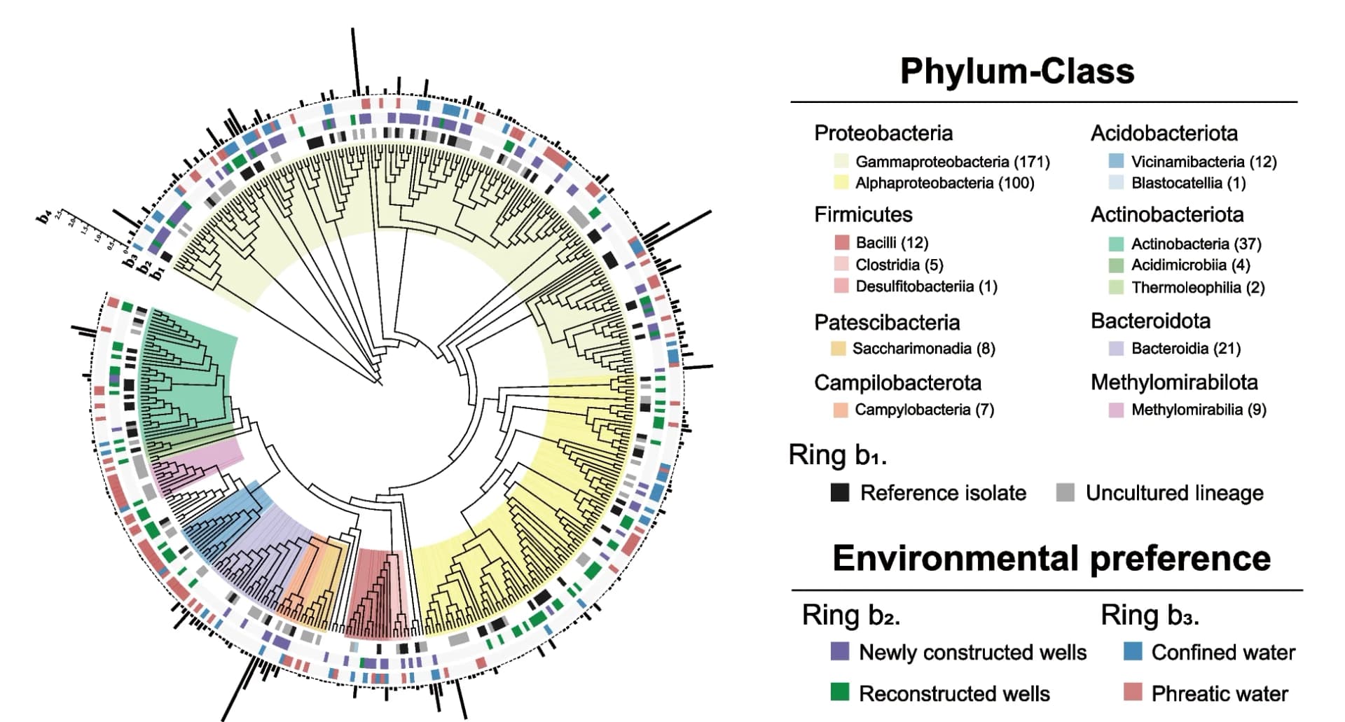 Open access visualization of Network, Phylogenetic Tree, Core Taxa, Groundwater, Taxonomic Information