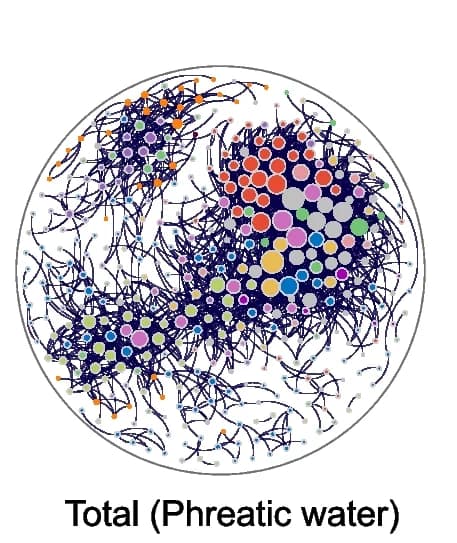 Open access visualization of Network, Pathway, Microbial Community, Genus, Phreatic Water