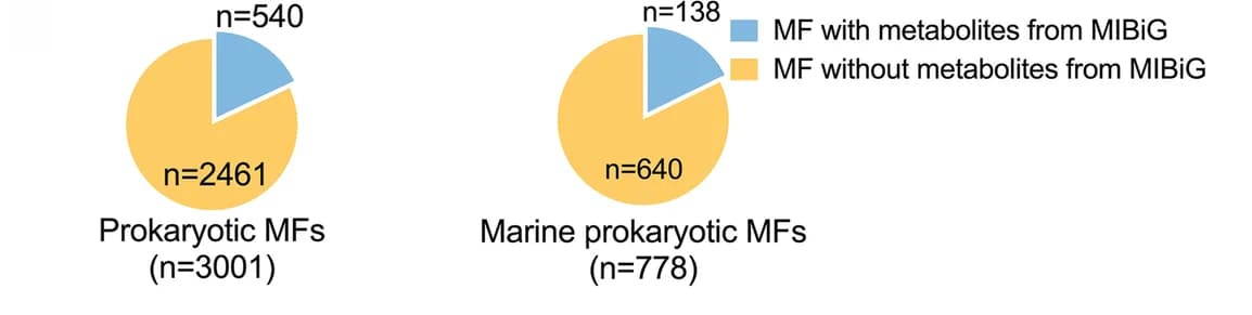 Open access visualization of Pie Chart, Prokaryotic MFs, Marine Prokaryotic MFs, Metabolites, MIBiG