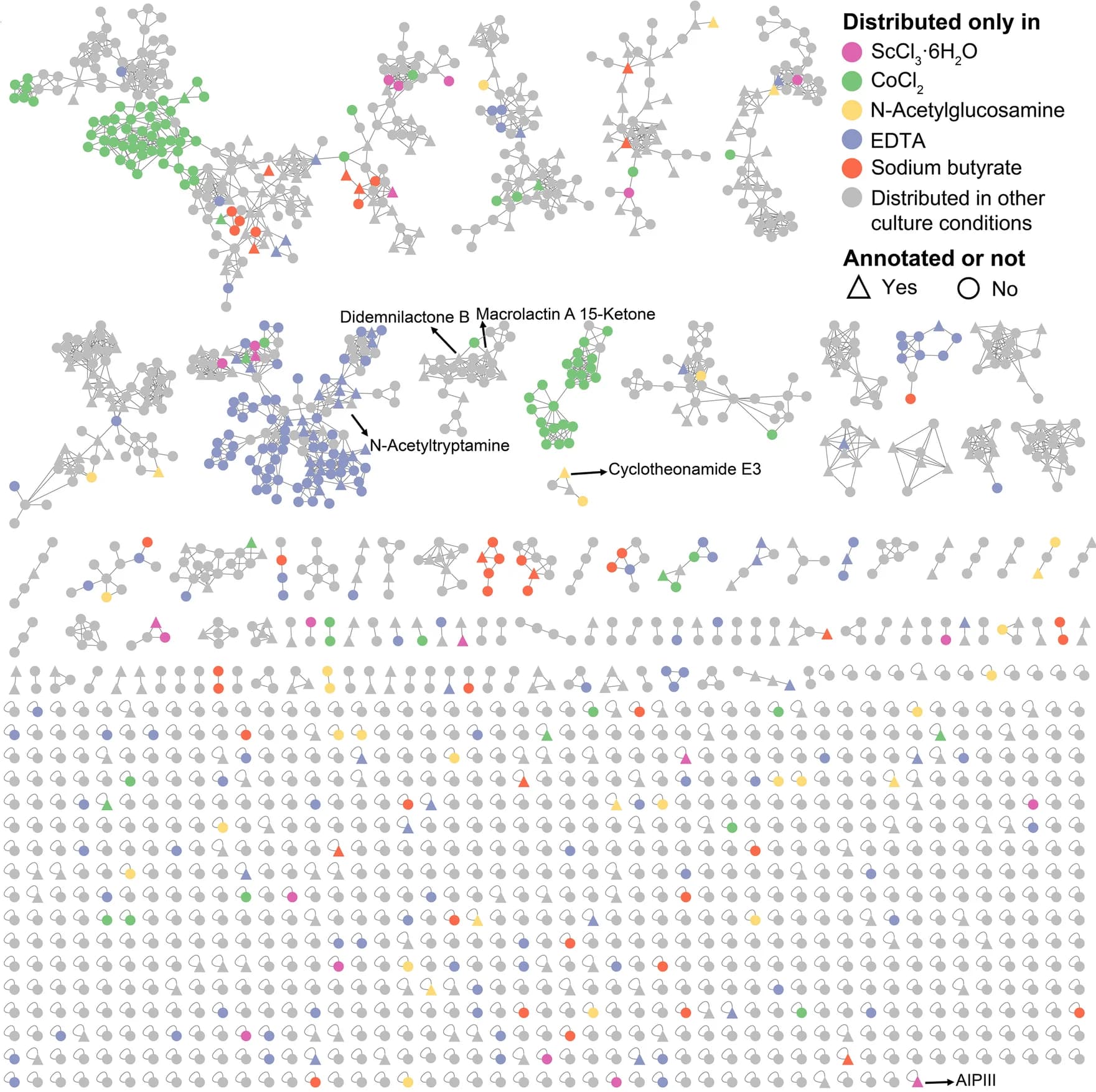 Open access visualization of Network, Molecular Network, Crude Extracts, A. muelleri, Culture Conditions