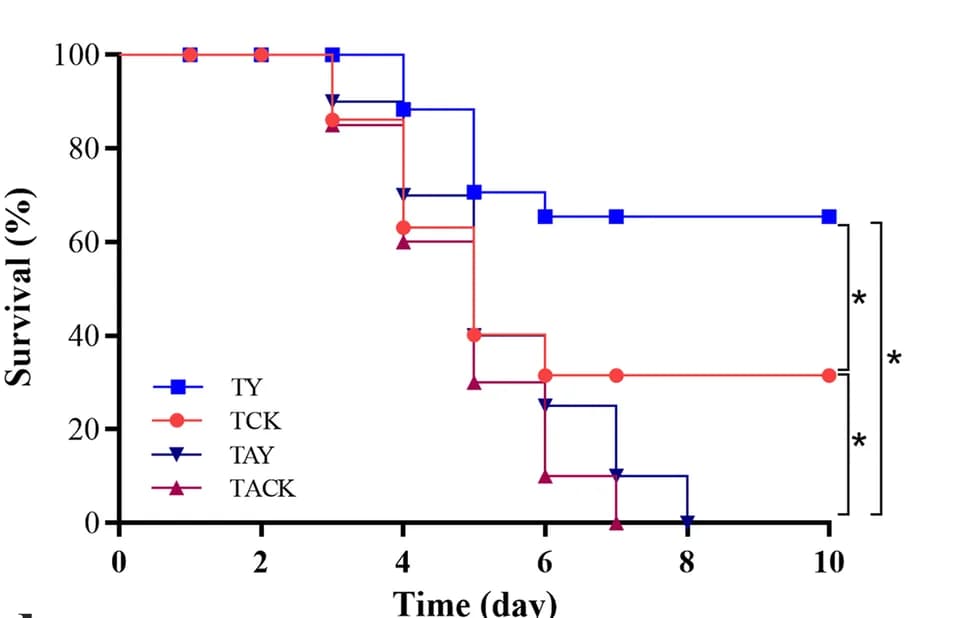 Open access visualization of Survival Curve, Line Step, Line Plot, Kaplan-Meier graph, Zebrafish survival