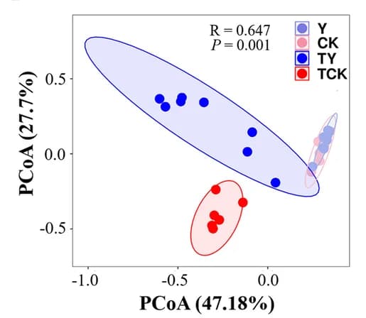 Open access visualization of Scatter Plot, PCA, Principal Coordinate Analysis, PCoA, Bray-Curtis Distance