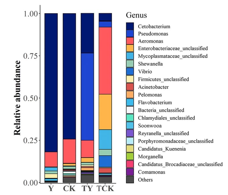Open access visualization of Stacked Bar Plot, Relative Abundance, Genera, Fish Gut, Groups