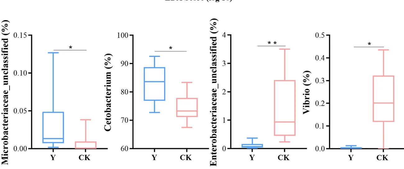 Open access visualization of Box Plot, Relative Abundance, Taxa, Mann-Whitney U Test, P-value