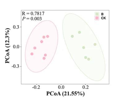 Open access visualization of Scatter Plot, PCA, PCoA, Beta Diversity, Microbiota
