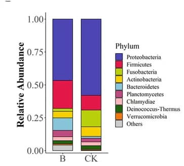 Open access visualization of Stacked Bar Plot, Taxonomic Distribution, Microbial Communities, Zebrafish