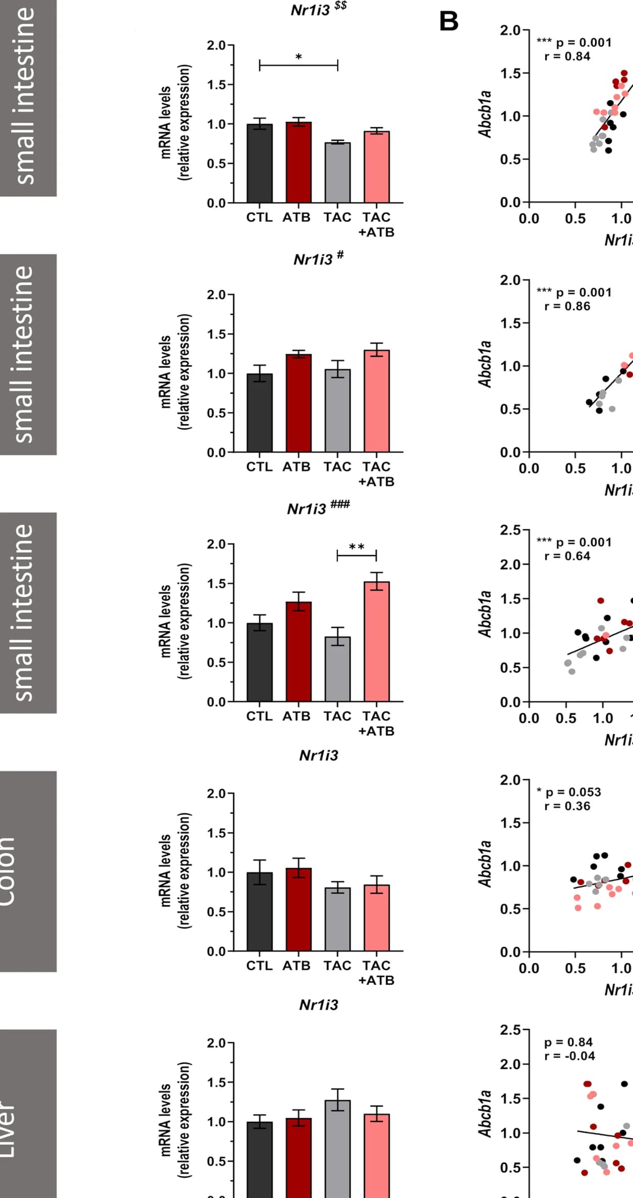 Open access visualization of Bar Plot, Error Bars, Scatter Plot, Regression Plot, mRNA expression