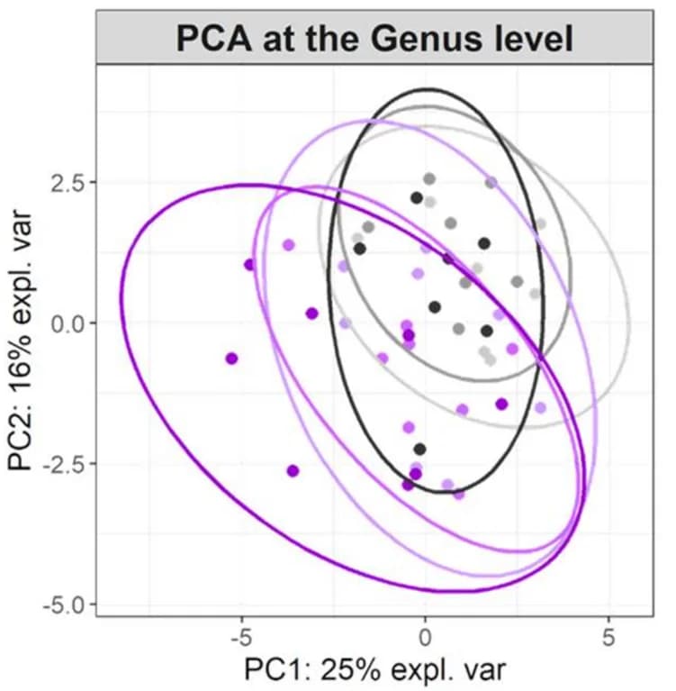 Open access visualization of PCA, Scatter Plot, Principal Component Analysis, Taxa, Control Mice