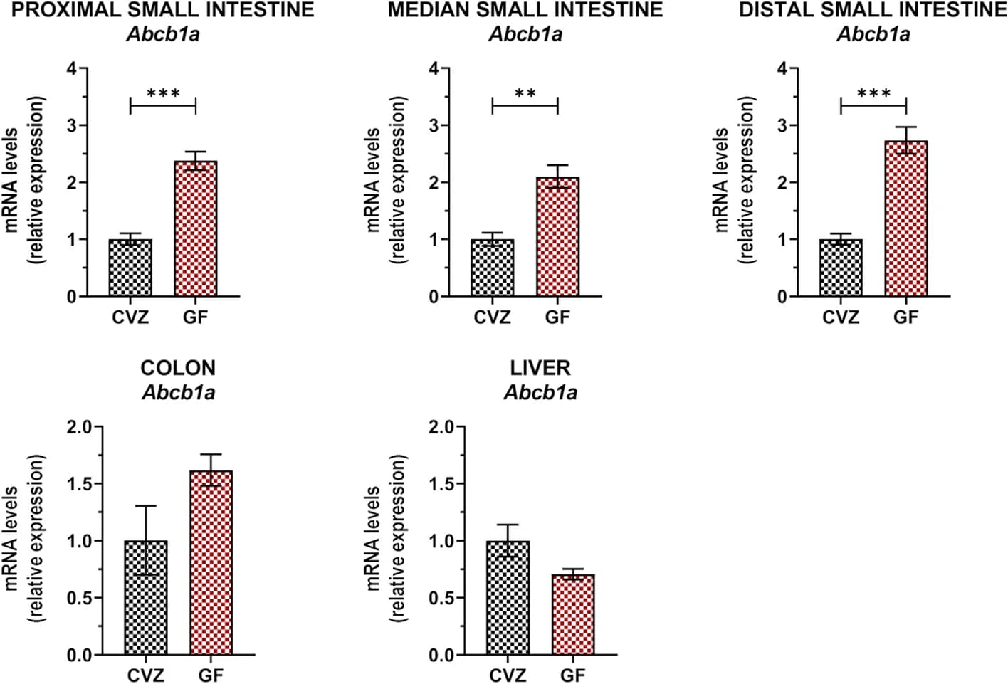 Open access visualization of Bar Plot, Error Bars, Clustered, mRNA expression, Small intestine