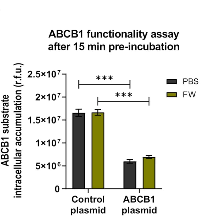 Open access visualization of Bar Plot, Error Bars, Clustered, ABCB1, Rhodamine 123