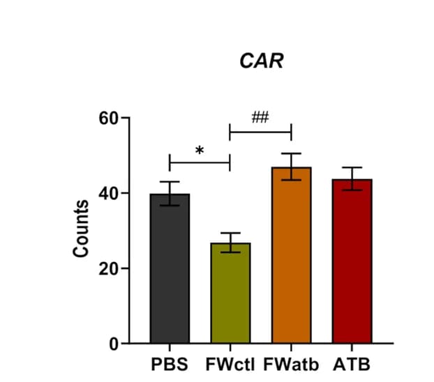 Open access visualization of Bar Plot, Error Bars, mRNA Expression, CAR, T-test