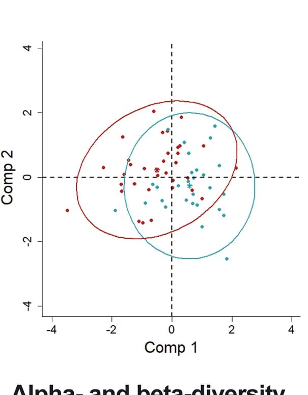 Open access visualization of Scatter Plot, PCA, Partial Least Square-Discriminant Analysis, Phyla Abundances, Rabbit Populations