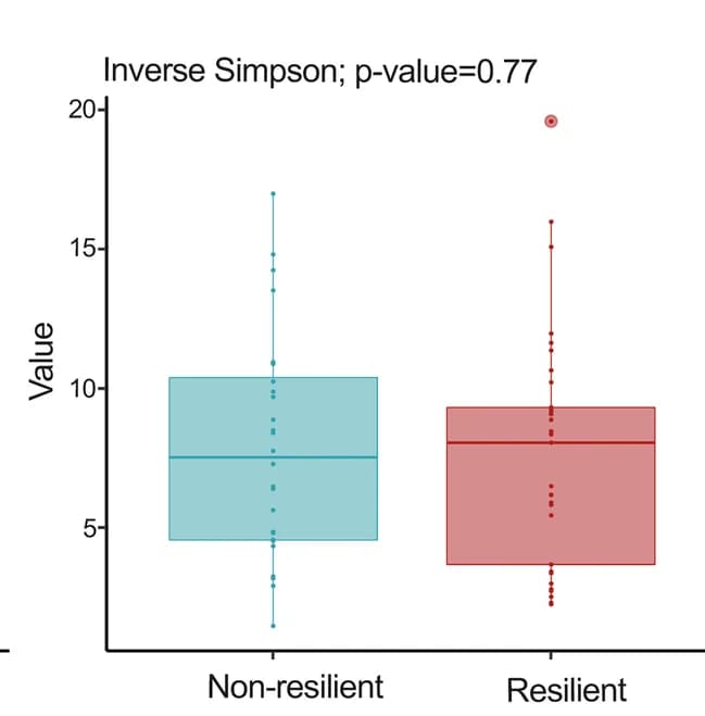 Open access visualization of Box Plot, Scatter Plot, Alpha-Diversity, Beta-Diversity, Species Abundance