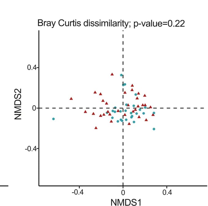 Open access visualization of Scatter Plot, Alpha-Diversity, Beta-Diversity, Species Abundance, Bray-Curtis Dissimilarity Matrix
