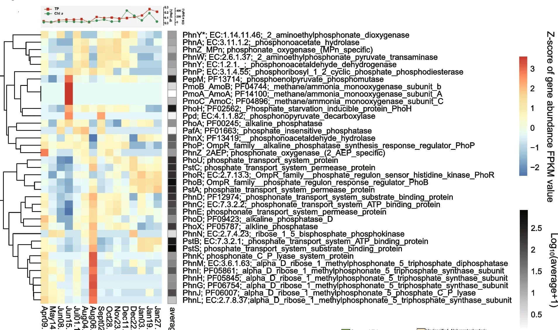Open access visualization of Heatmap, Clustered, Line Plot, Functional gene, Abundance profile