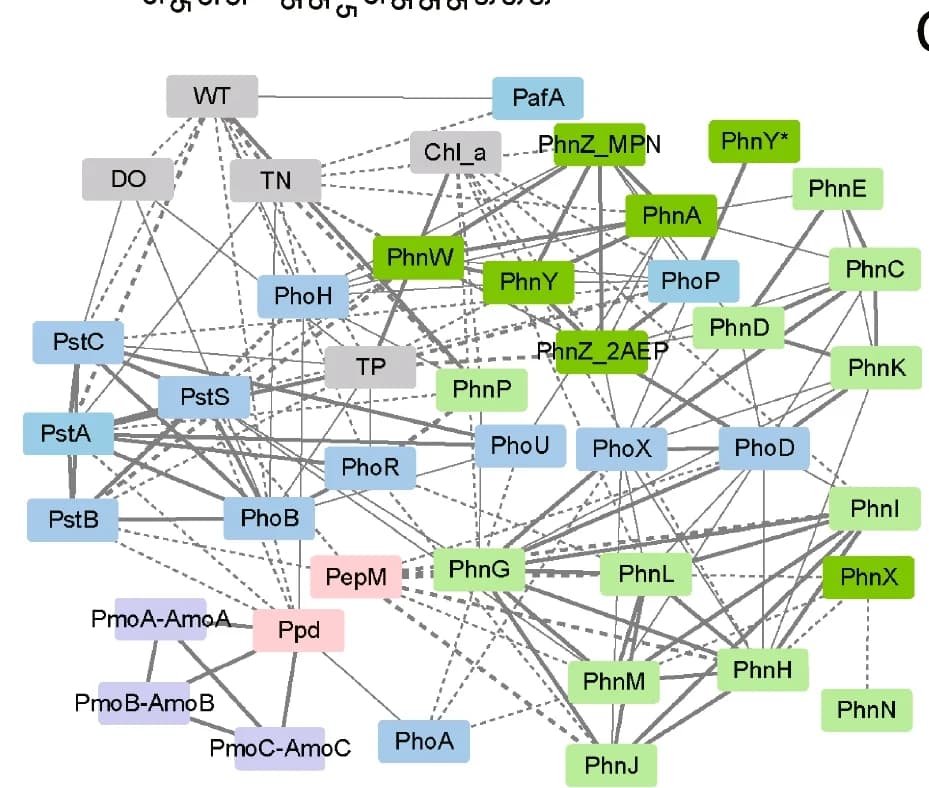 Open access visualization of Network, Pathway, Network analysis, Spearman’s correlations, Environmental parameter