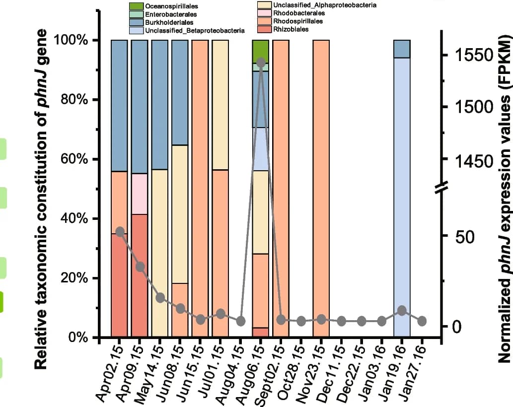 Open access visualization of Stacked Bar Plot, Line Plot, Taxonomic constitution, Expression values, phnJ genes
