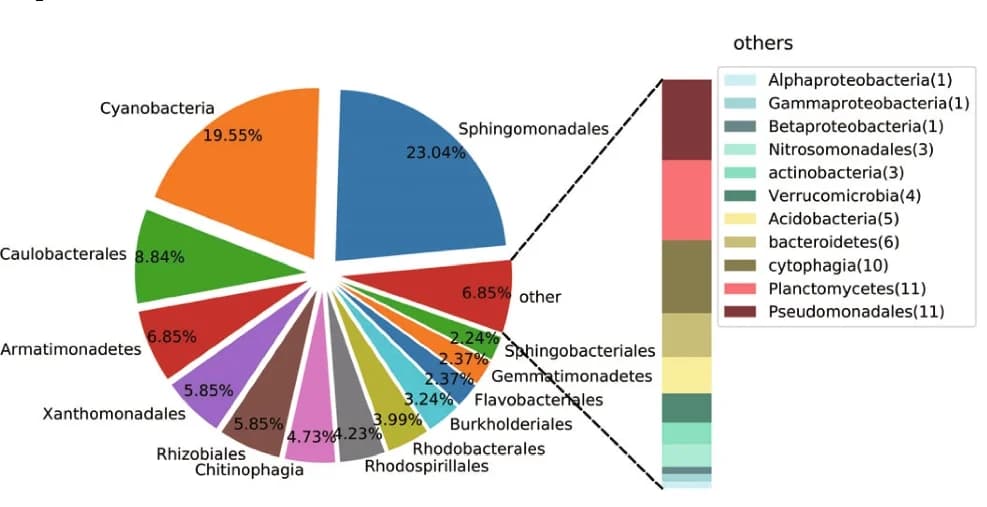 Open access visualization of Pie Chart, Bar Plot, Stacked Bar Plot, Taxonomic constitution, High-quality bins