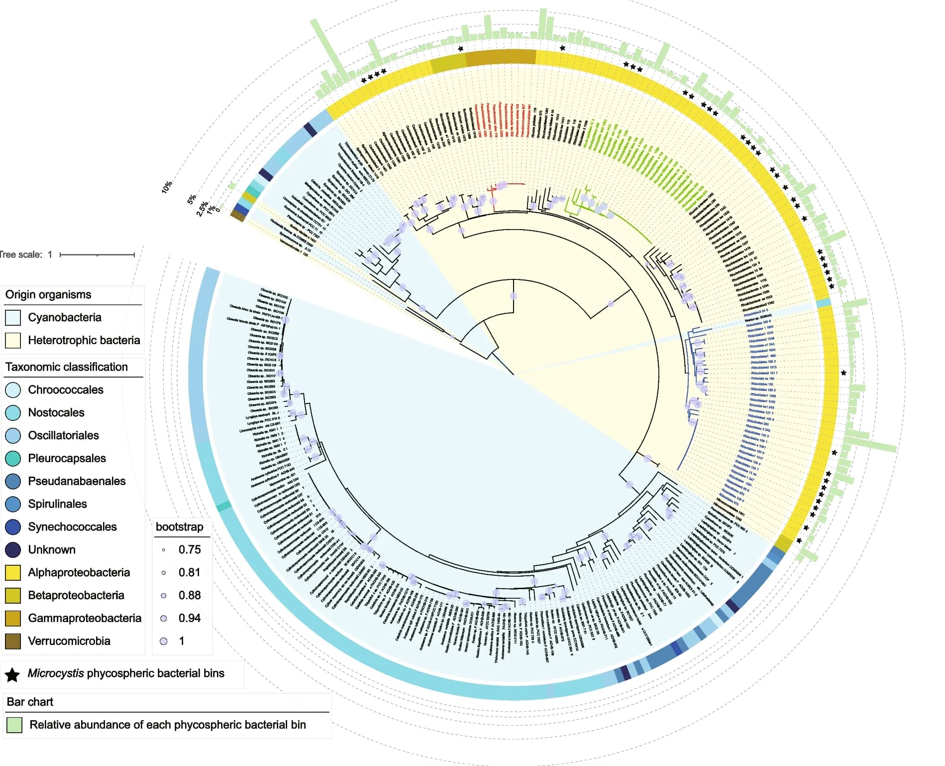 Open access visualization of Bar Plot, Network, Maximum likelihood phylogenetic tree, PhnJ genes, Heterotrophic bacterial bins