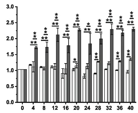 Open access visualization of Bar Plot, Error Bars, Clustered, Growth Dynamics, Culture Media