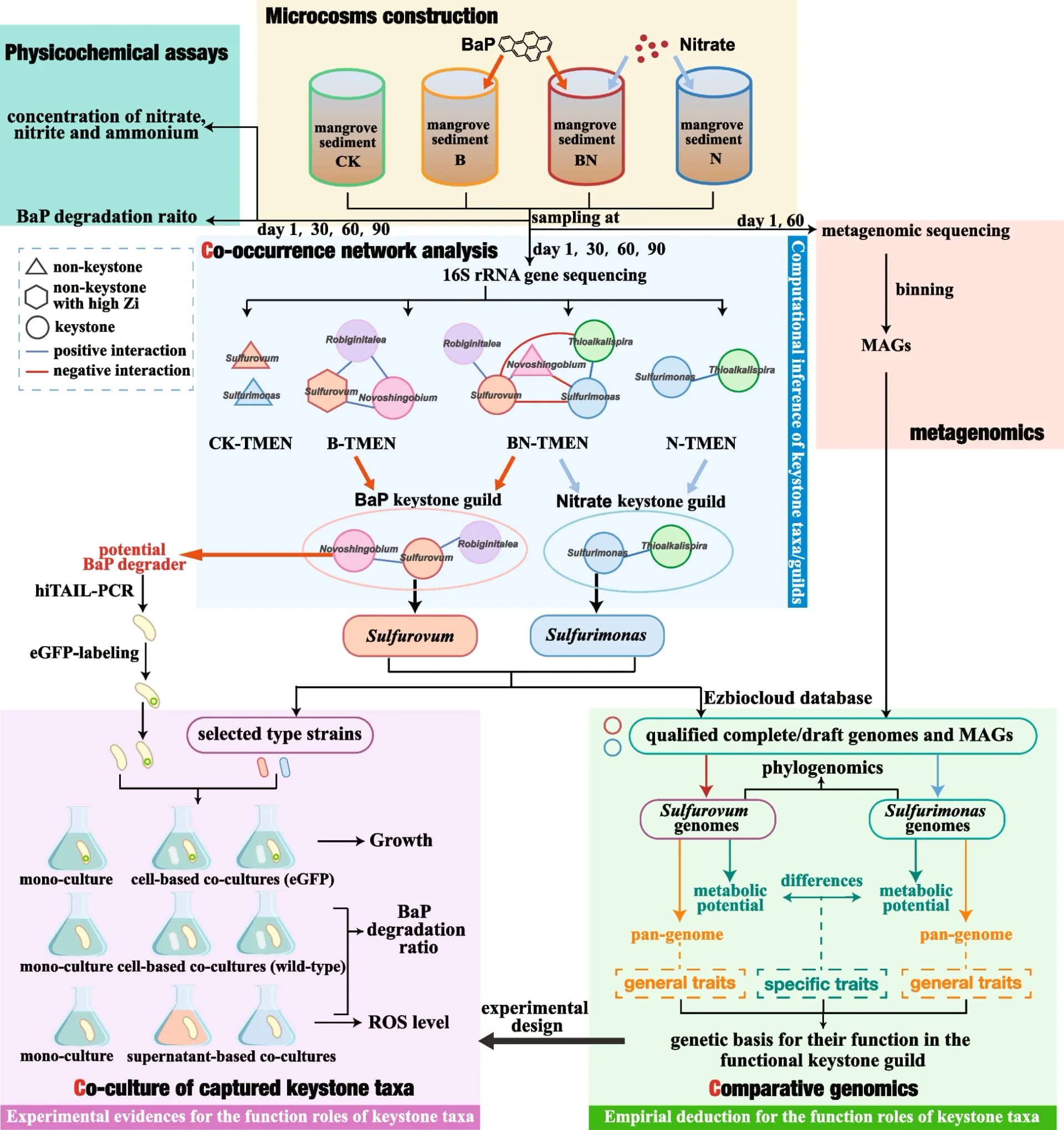 Open access visualization of Workflow, Flowchart, Experimental Design, Computational Pipeline, 3C-Strategy