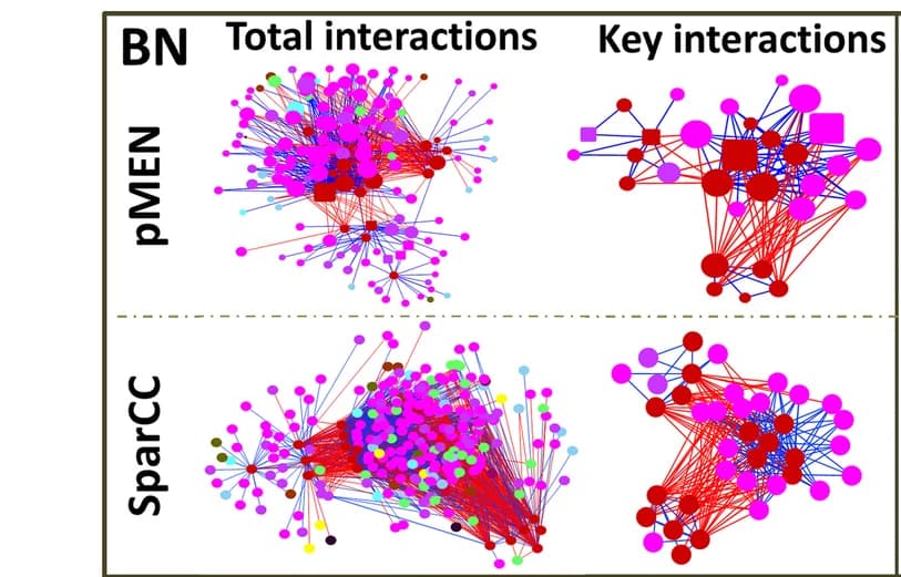 Open access visualization of Network, Pathway, Phylogenetic Molecular Ecological Networks, SparCC Networks, OTU