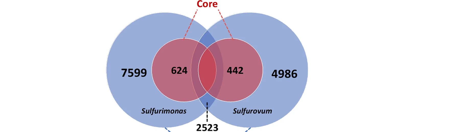 Open access visualization of Venn Diagram, Pangenome, Core Genome, Homolog Families, Sulfurimonas