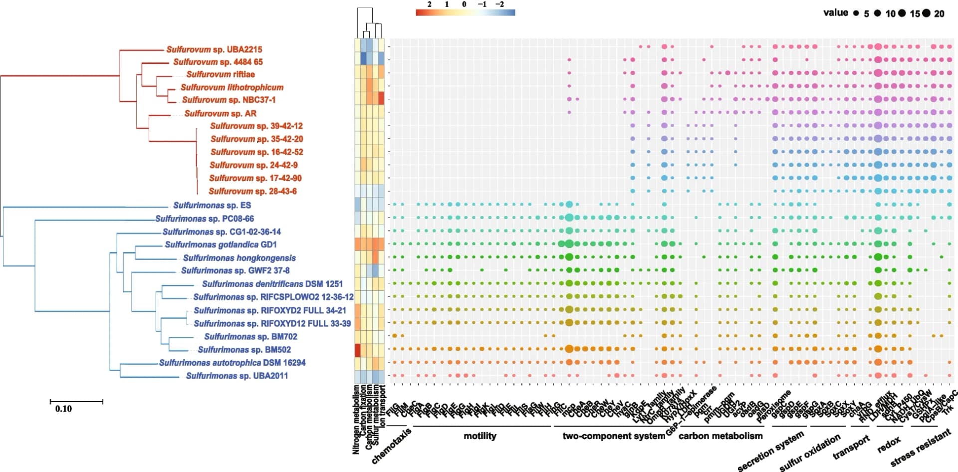 Open access visualization of Heatmap, Clustered, Scatter Plot, Bubble Plot, Phylogenetic Tree