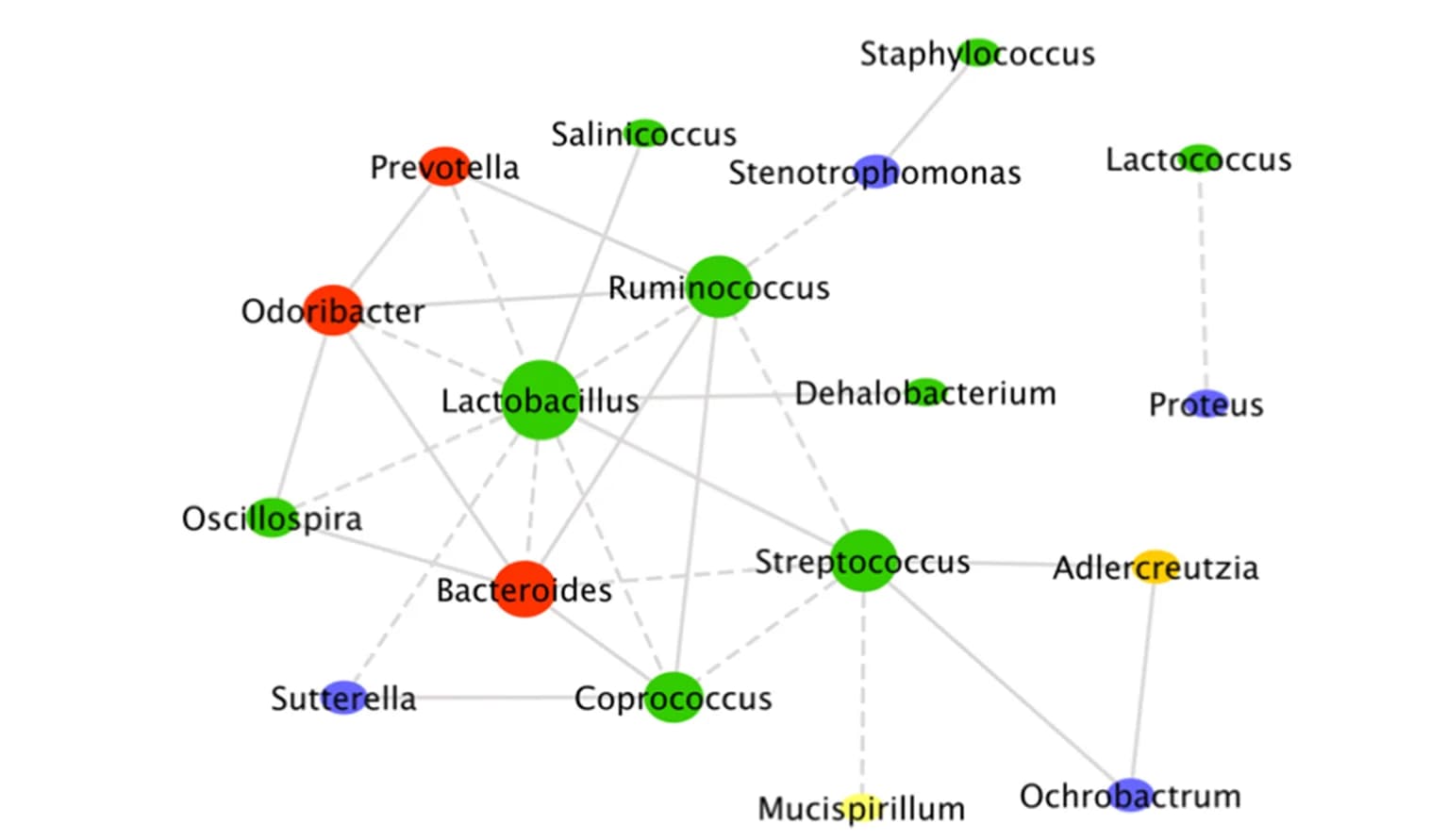 Open access visualization of Network, Pathway, Microbiota, Bacterial Hub, VD Mice