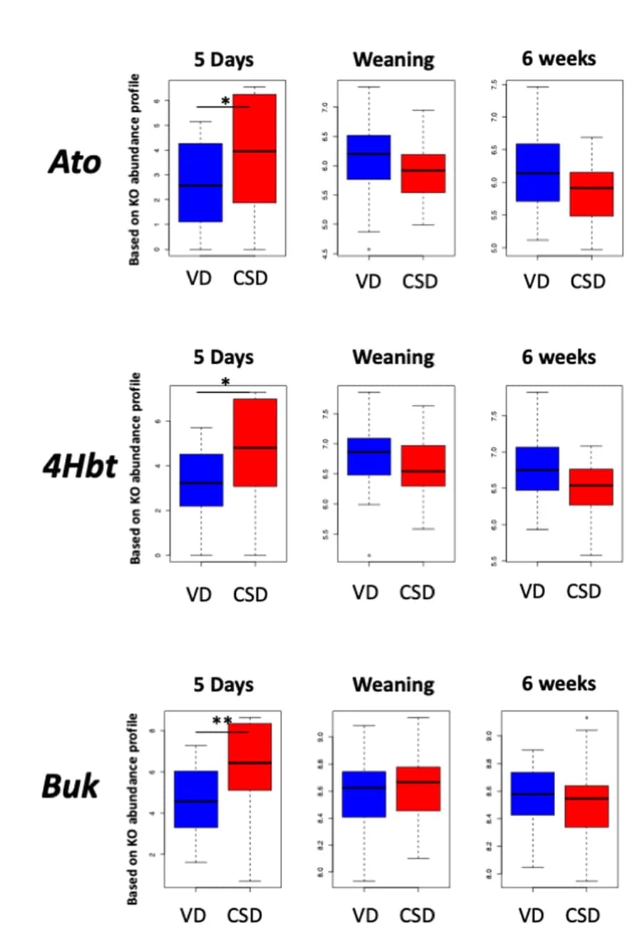 Open access visualization of Box Plot, KEGG Orthologs, Butyrate Production, PICRUSt, Butyrate Kinase