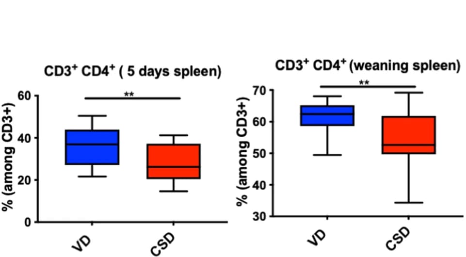 Open access visualization of Box Plot, CD3+ CD4+ Cells, Flow Cytometry, Spleen, Mesenteric Lymph Nodes