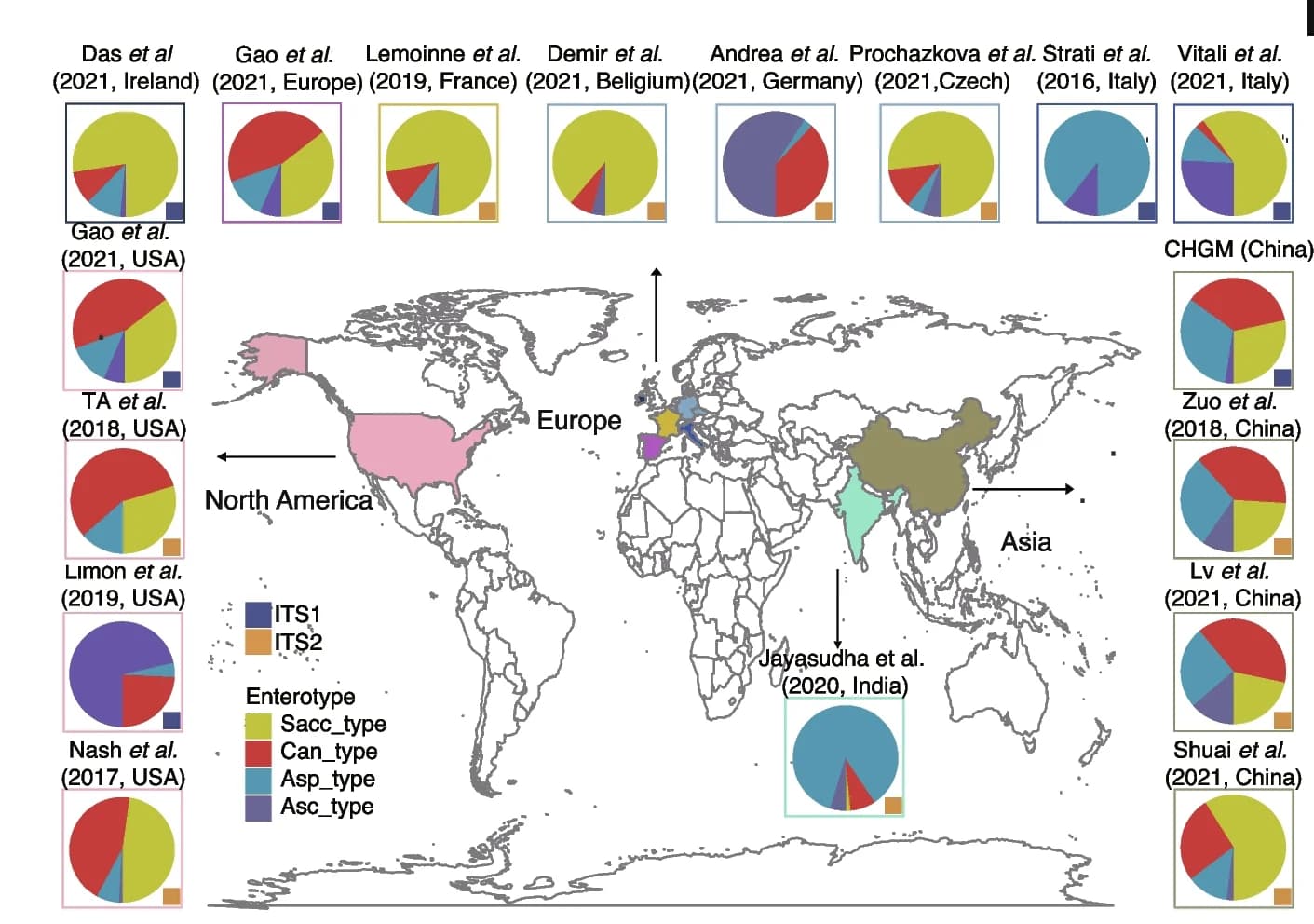 Open access visualization of Geo Map, Pie Chart, Geographic Distribution, Study Populations, Fungal Enterotypes